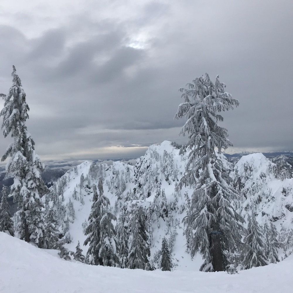 Meet your Posher, Hunter